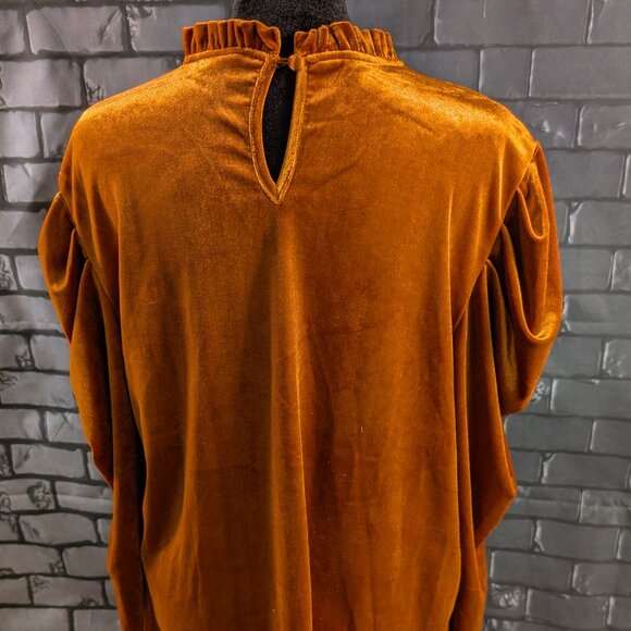 Rust Velvet Blouse with Long Puff Sleeves - Picture 4 of 5